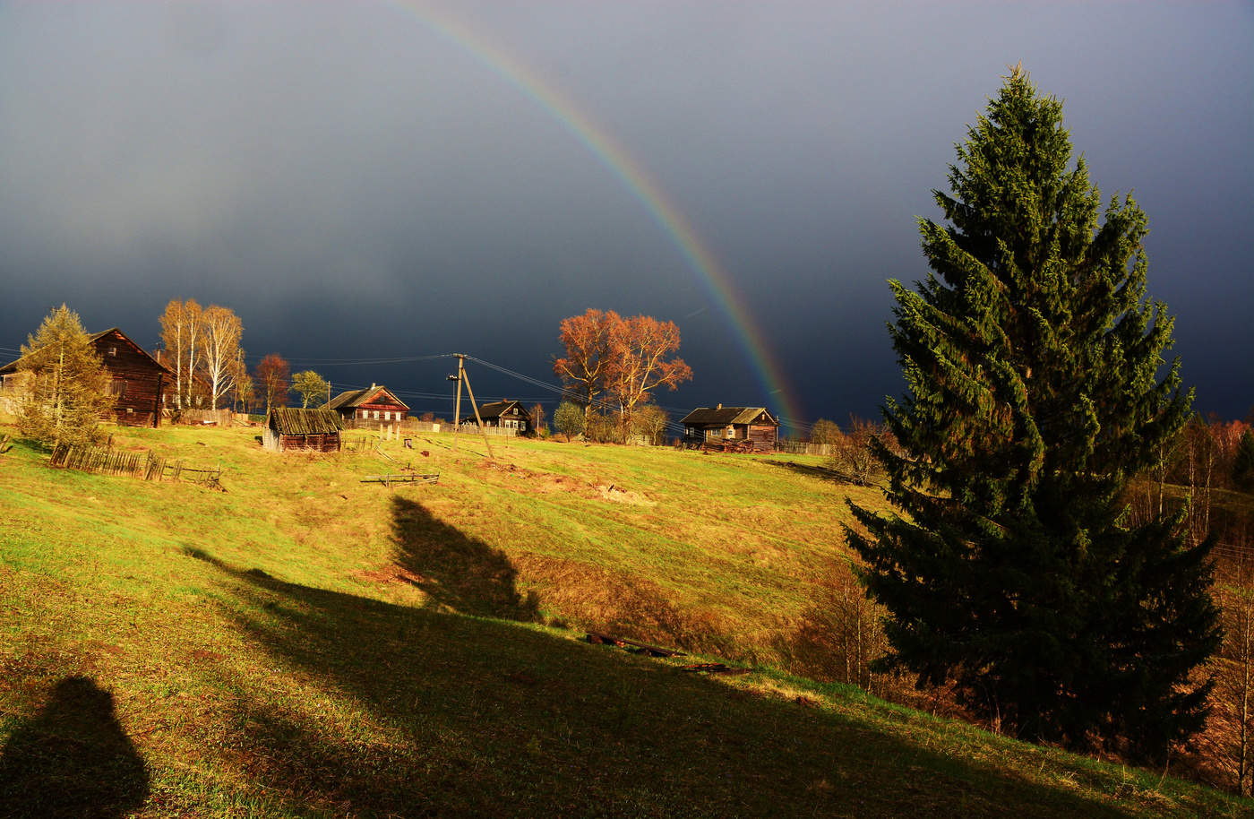 После дождя ...