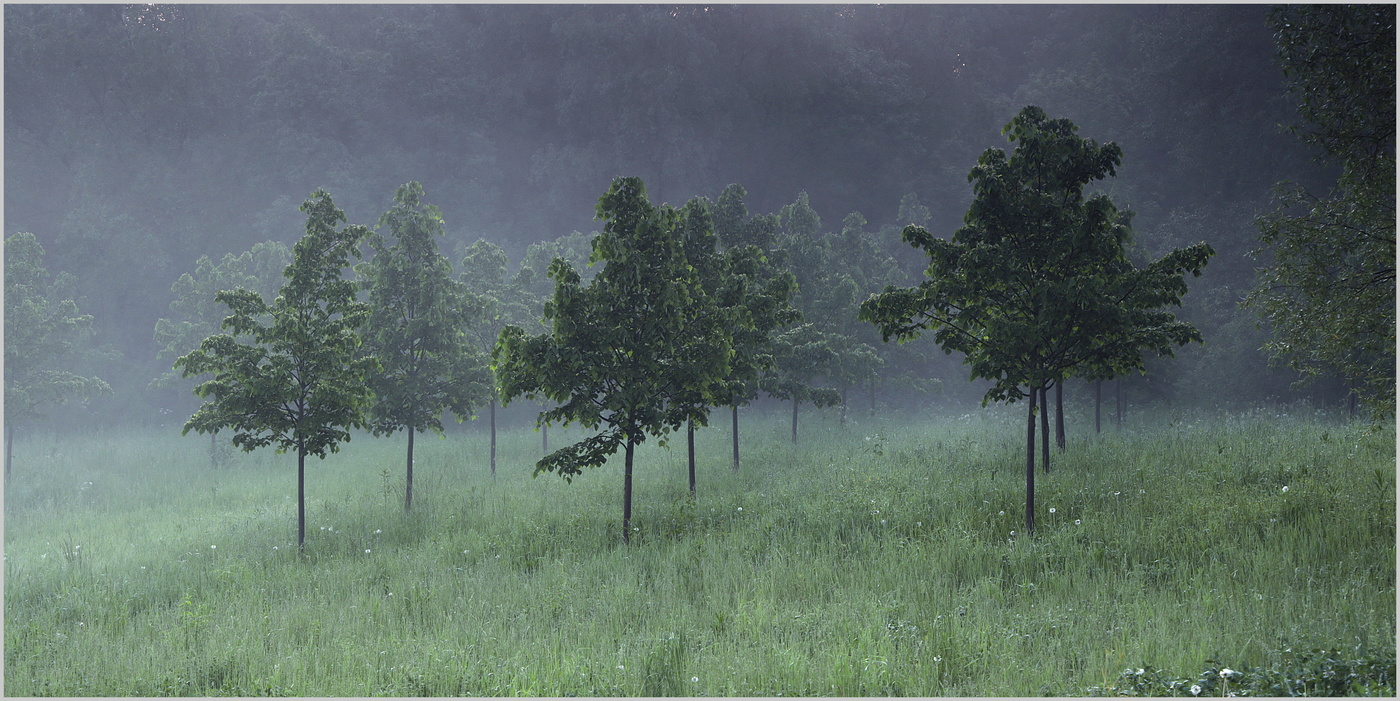 Здравствуй, племя молодое ...
