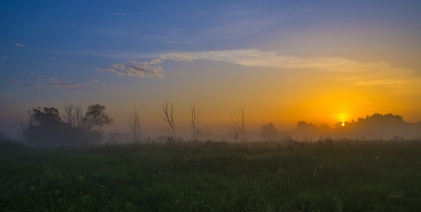Рассвет в полях.