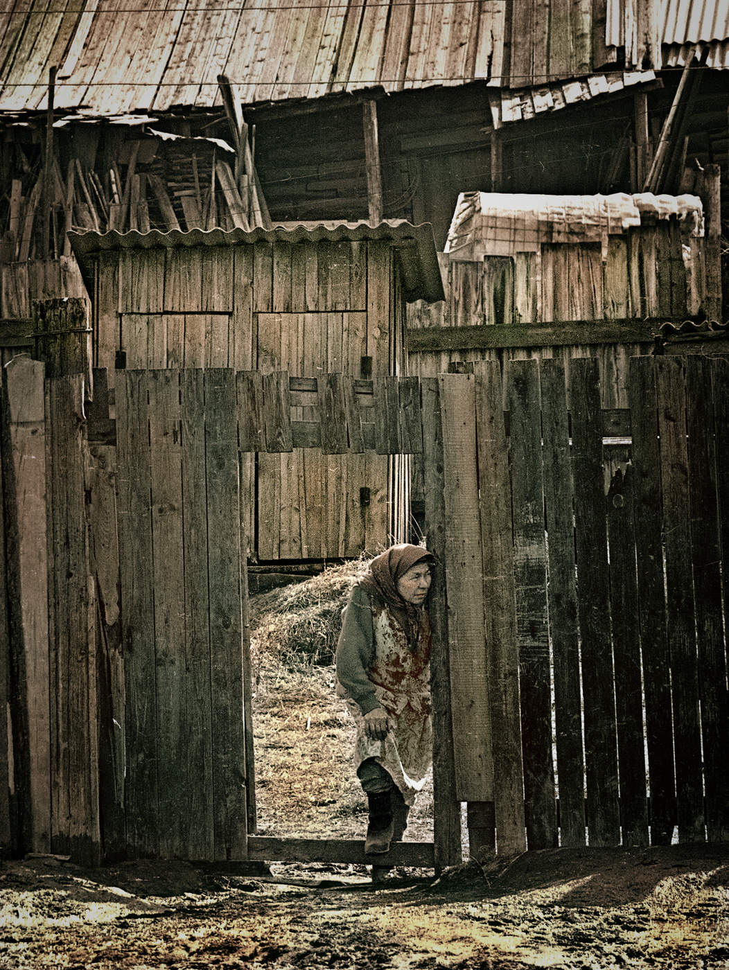 любопытство