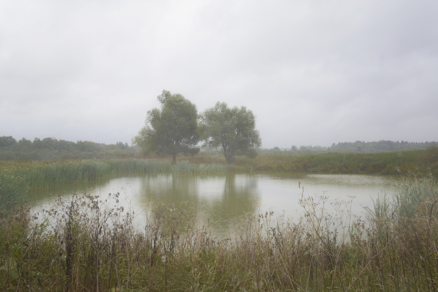 дождливый день