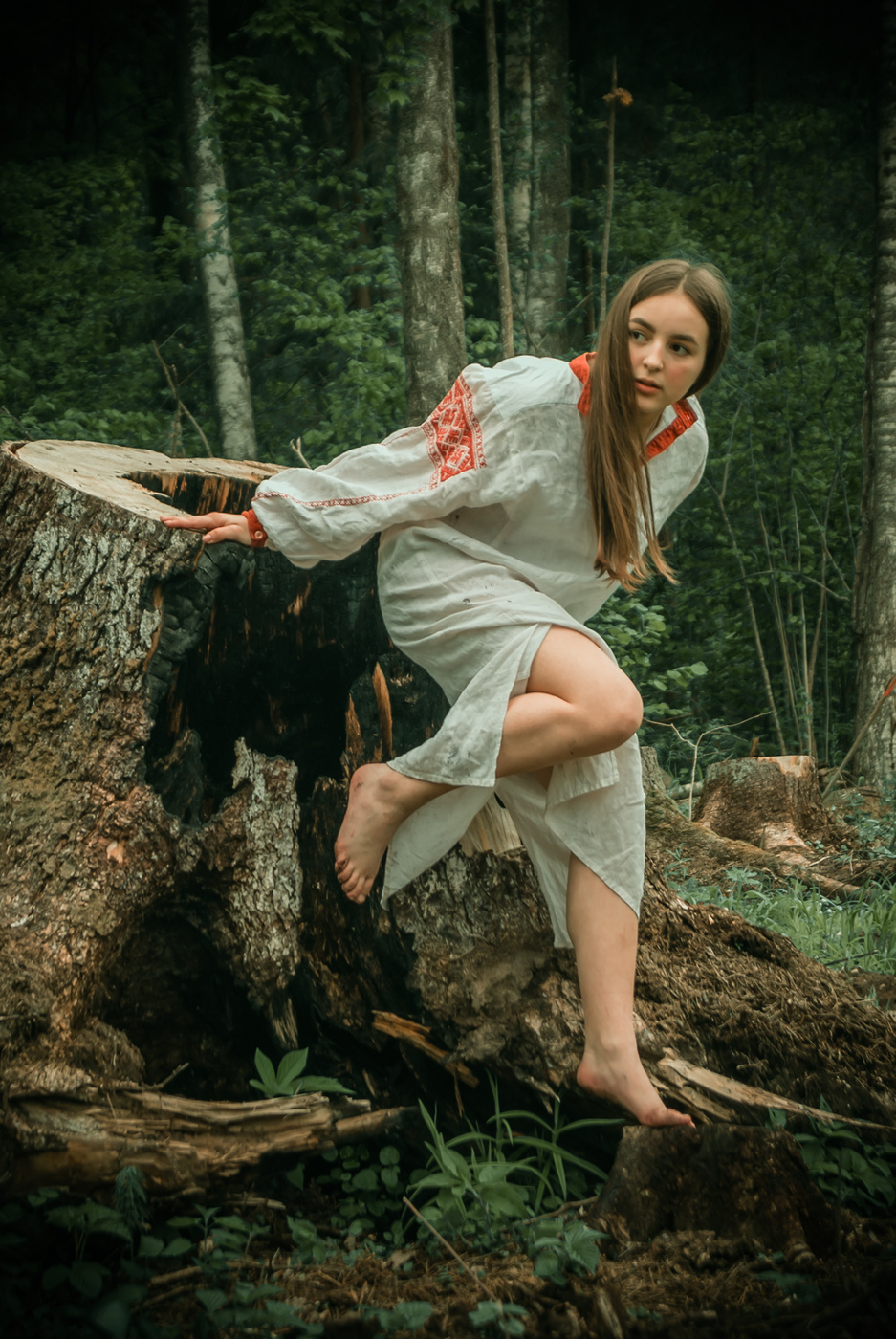 Душа срубленного дерева....