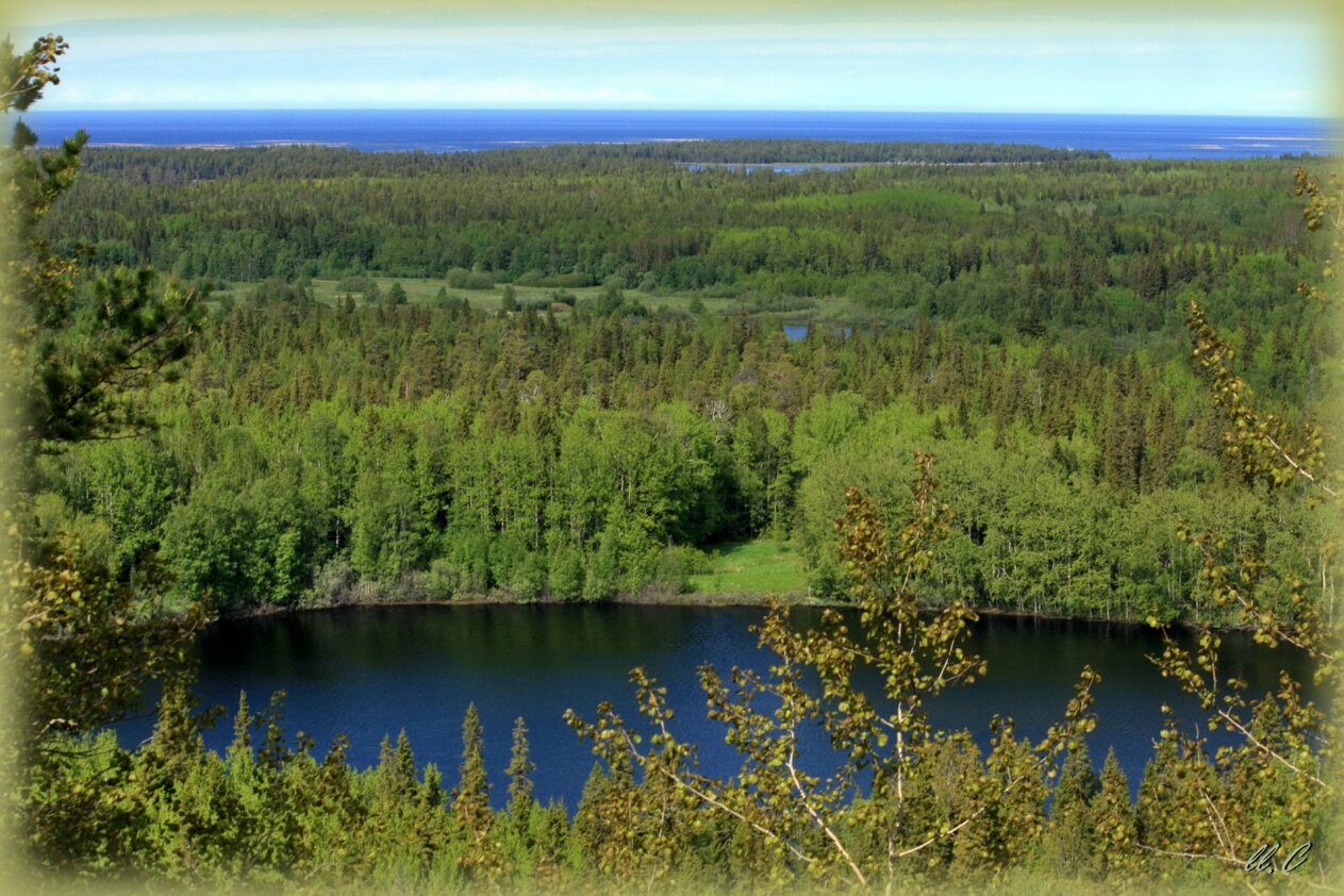 Просторная пятница