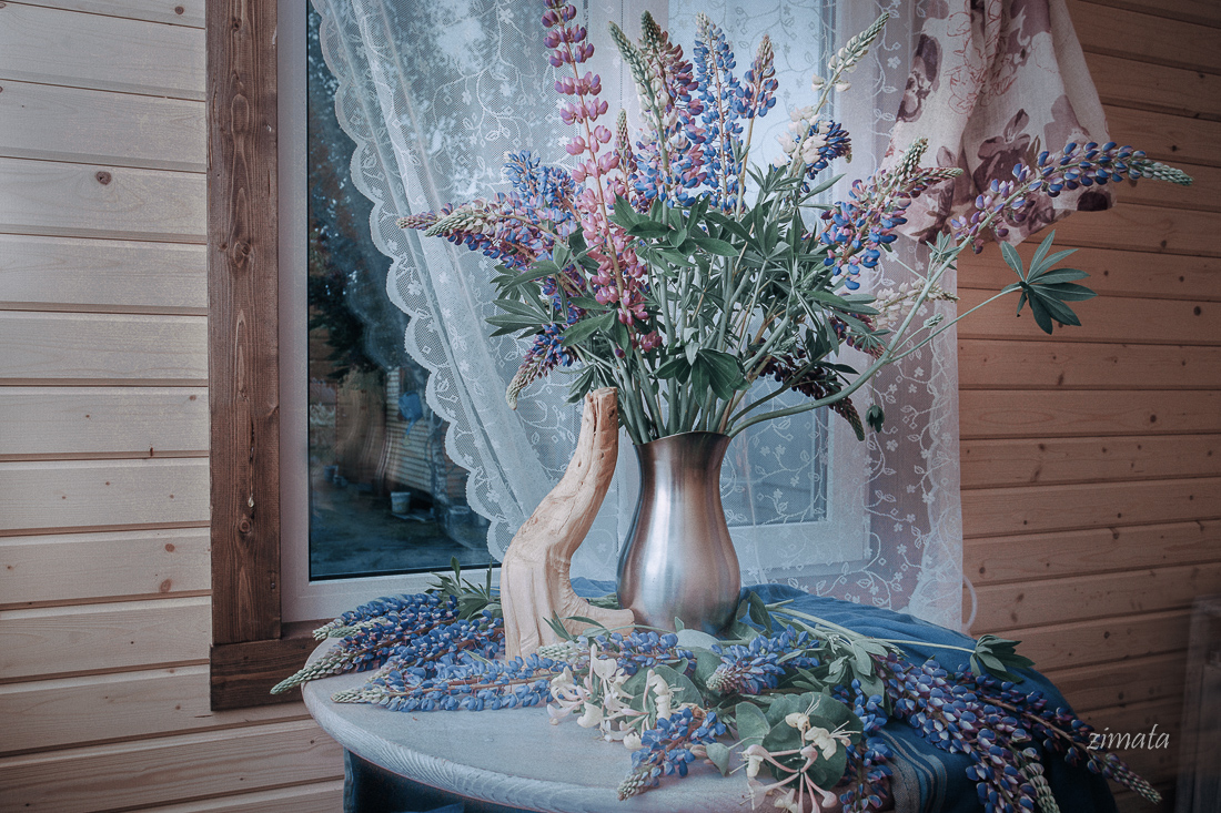 сезонные цветы