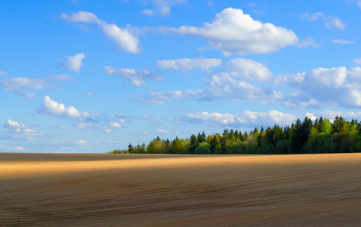 Середина мая