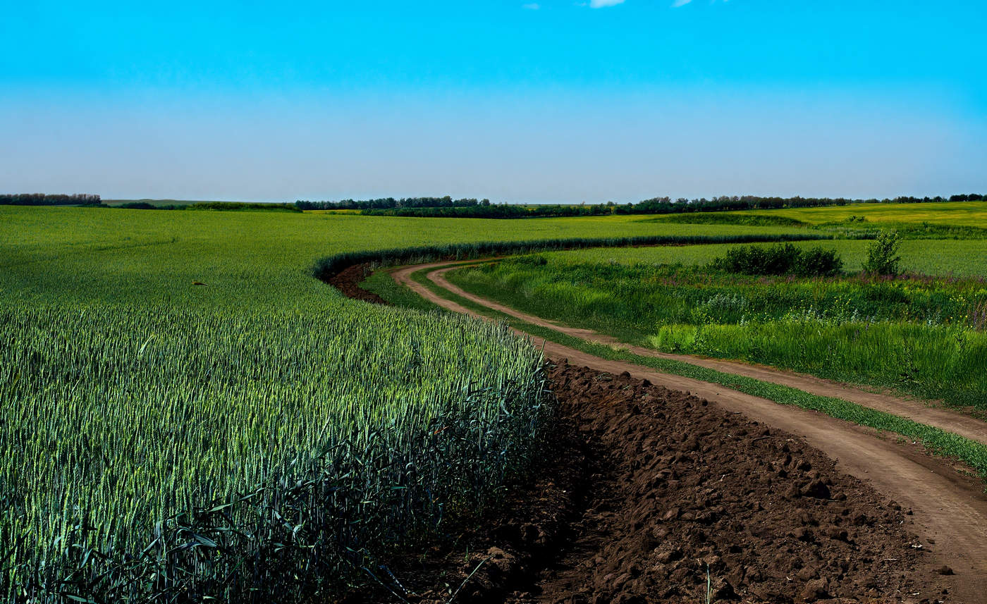 Аграрная нирвана