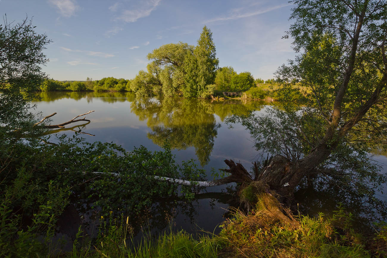 Зелёные берега лета