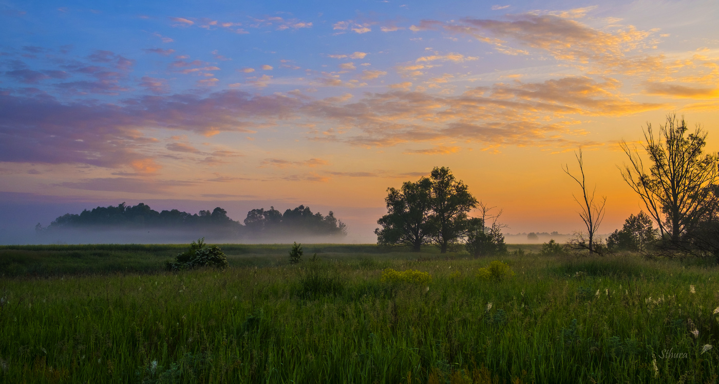 По лугам на рассвете.