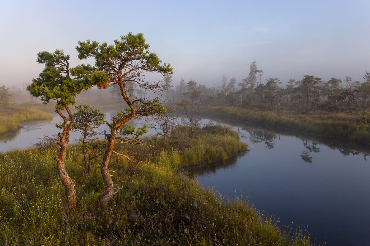 С поволокой тумана