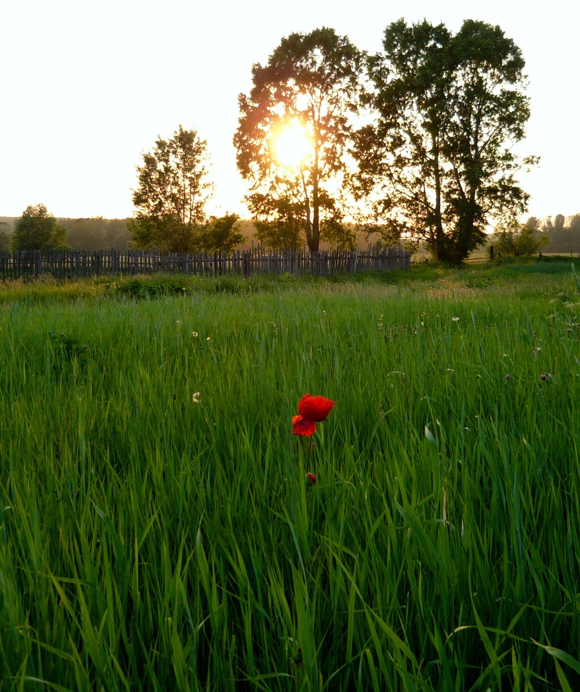 Вечер на Урале
