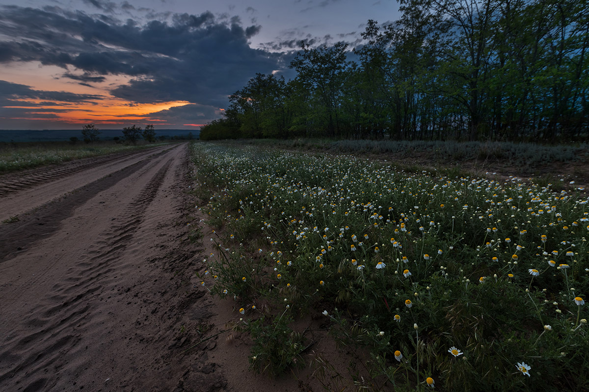 Промчался день...