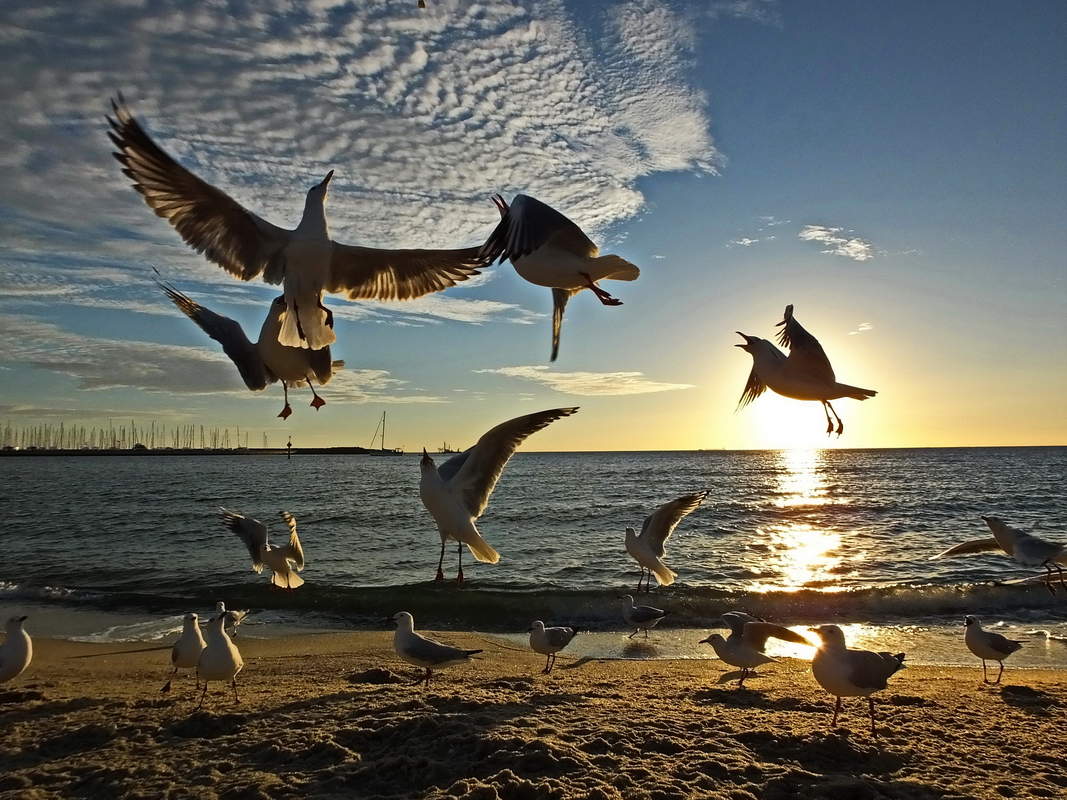 дискотека на закате