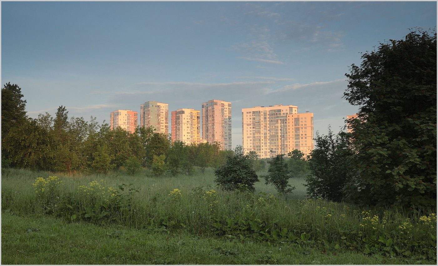 Утро красит ...