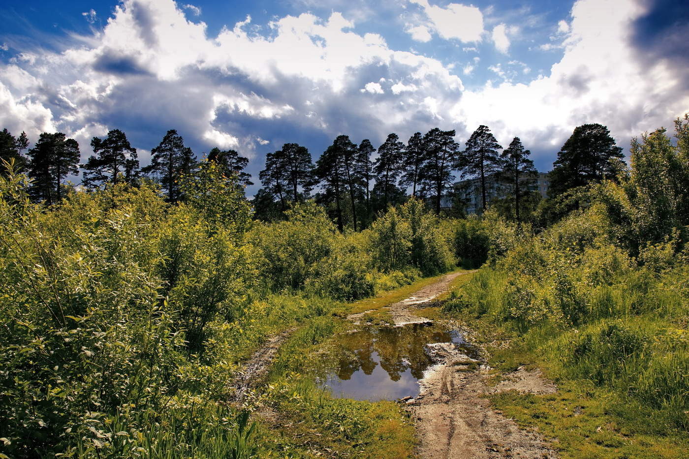 Летний полдень.