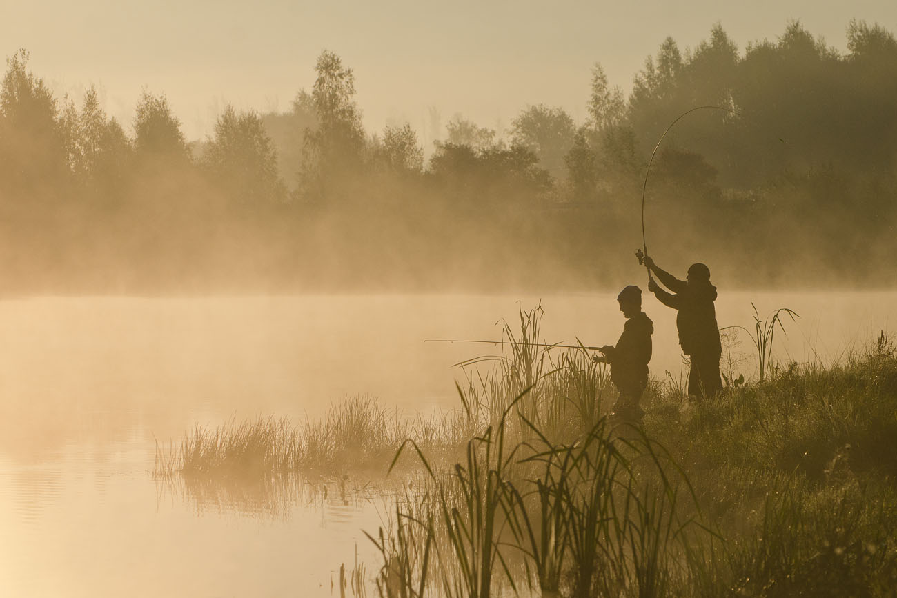 Всё, что сердцу дорого...