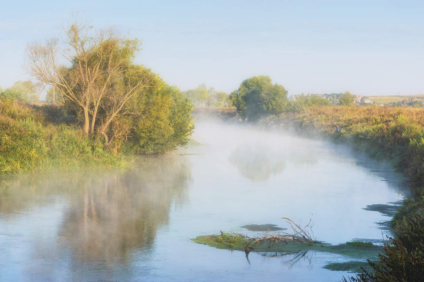 Прозрачное утро