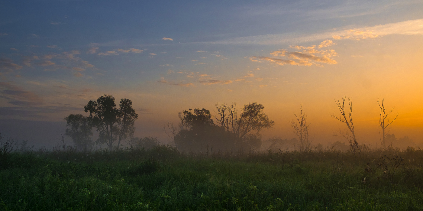 Утреннее поле.