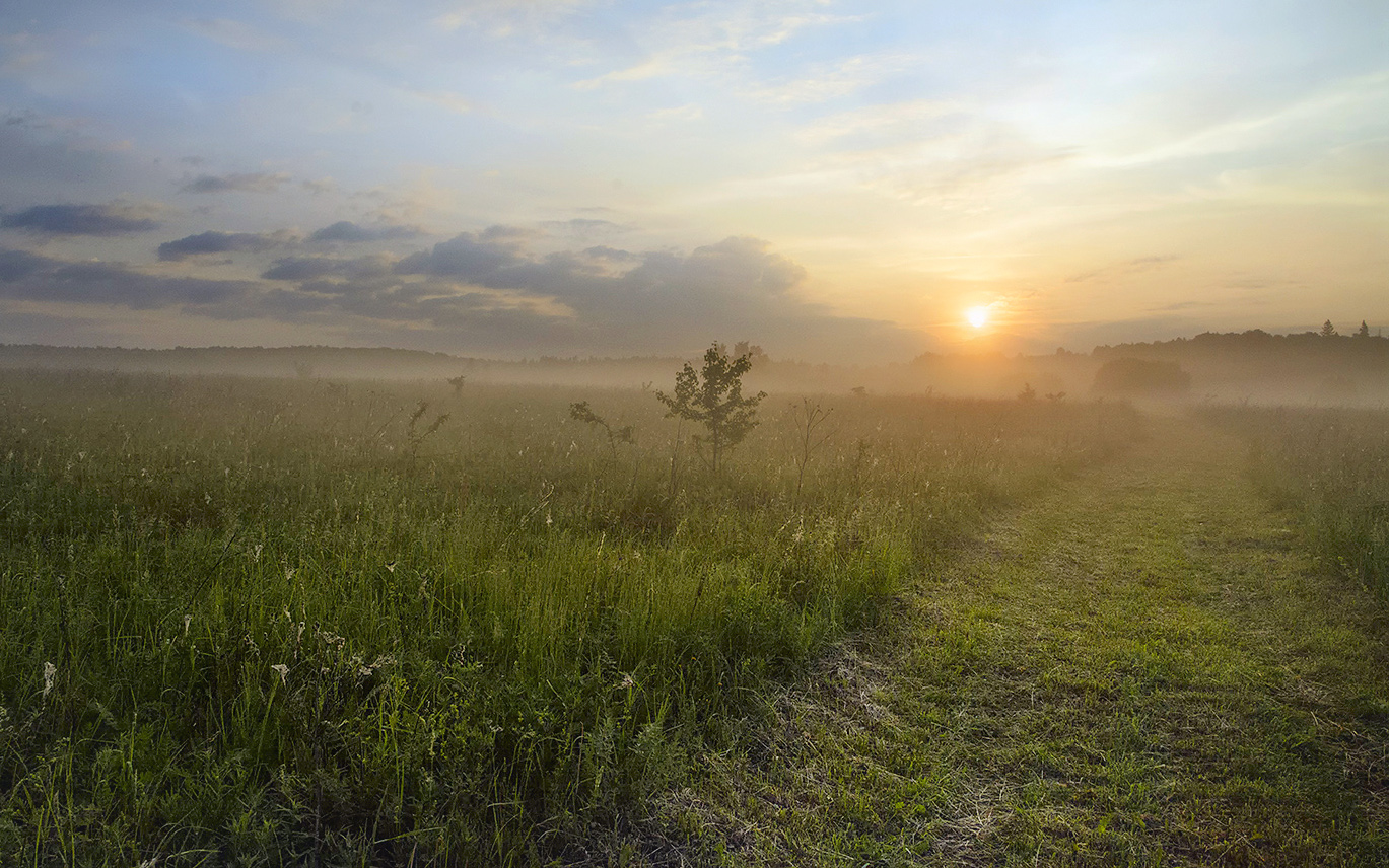 Летнее утро.