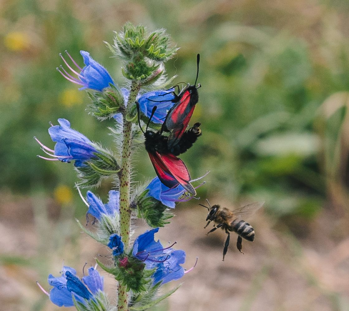Третий лишний?