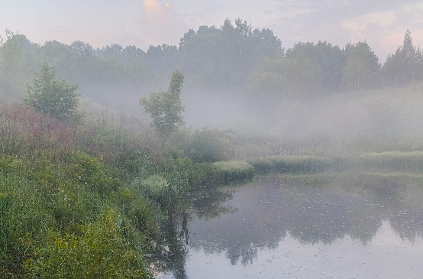 У загородного пруда