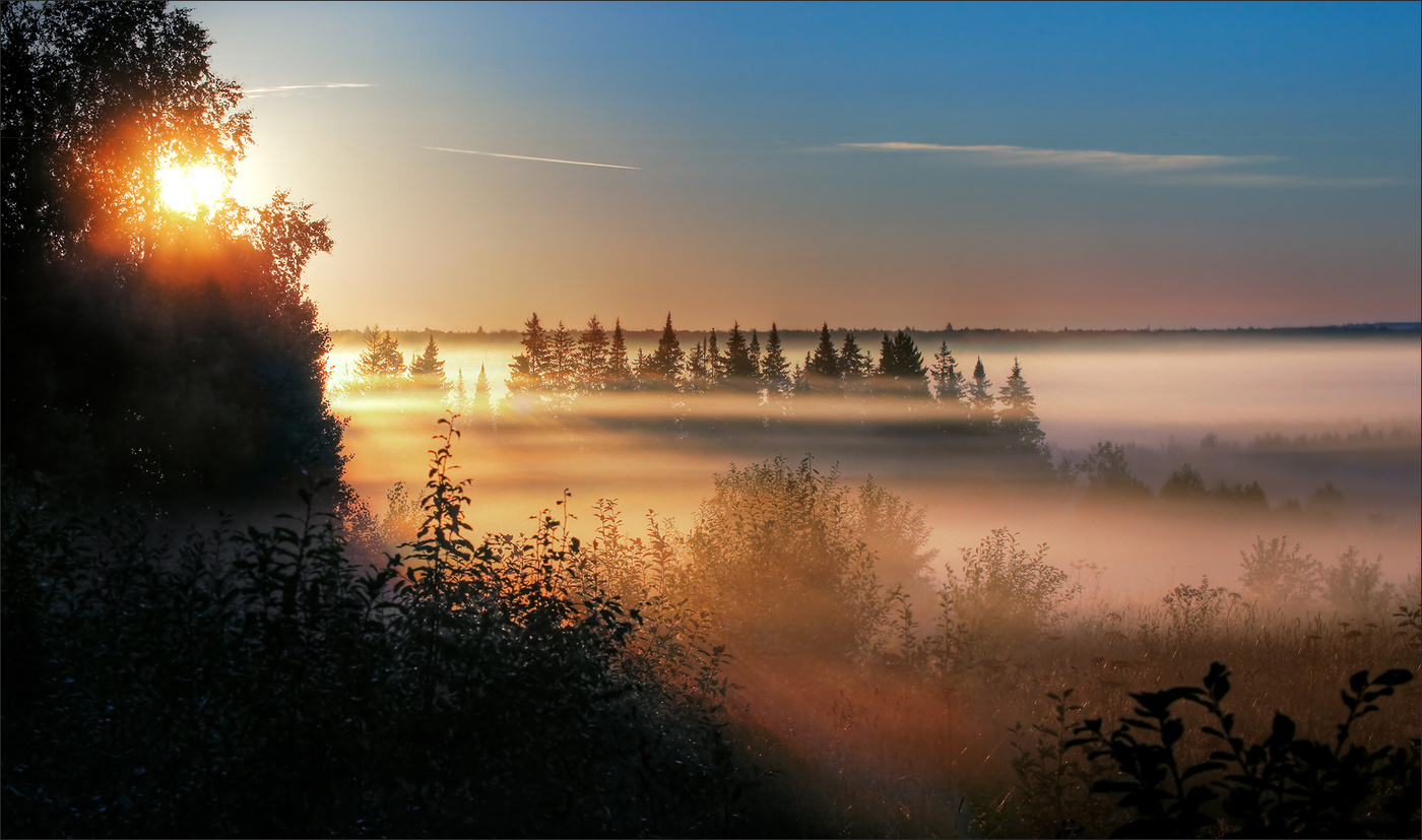 Где-то стелются туманы...