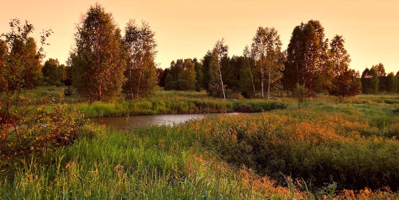 Июньский вечер