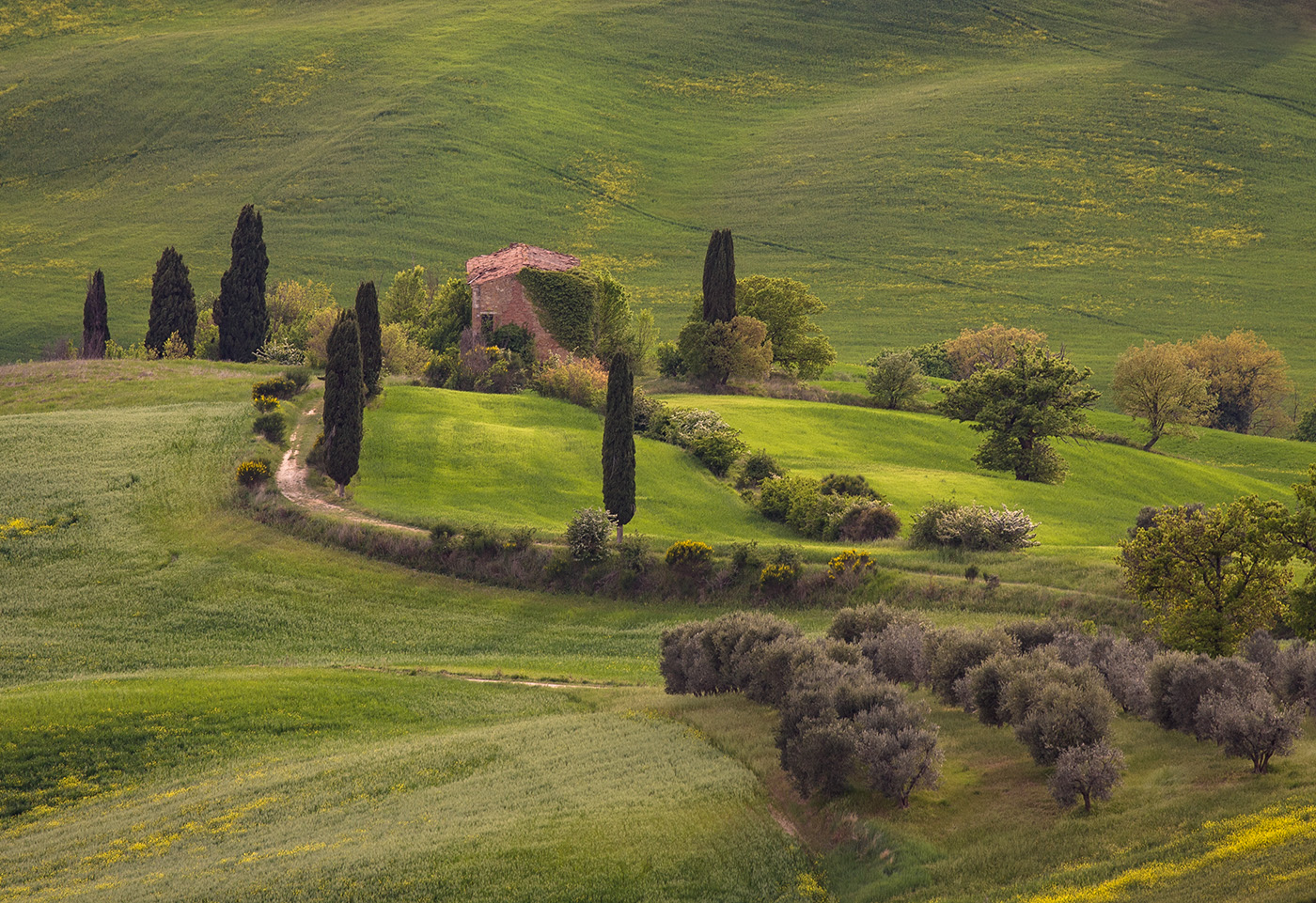 Сад среди холмов