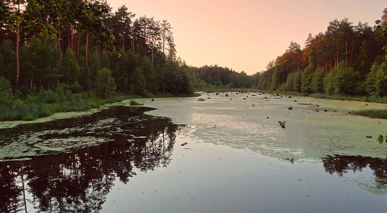 Старое озеро для русалок