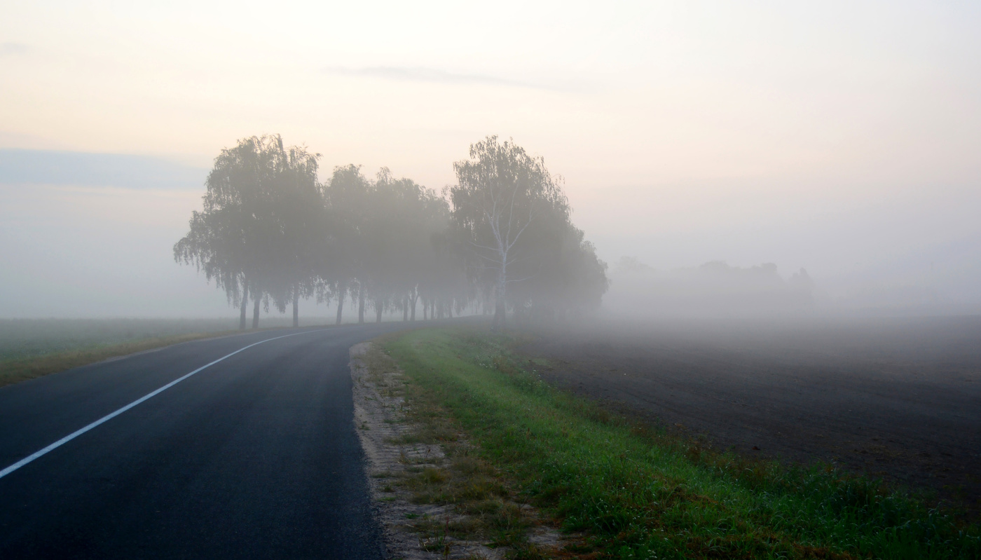 Туманные горизонты