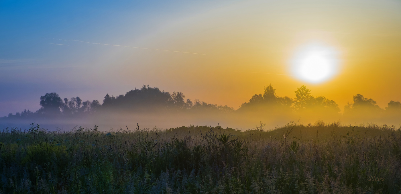 Летние туманы.