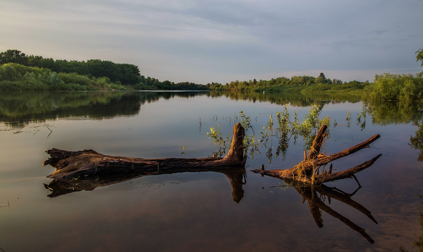 Тихая река.