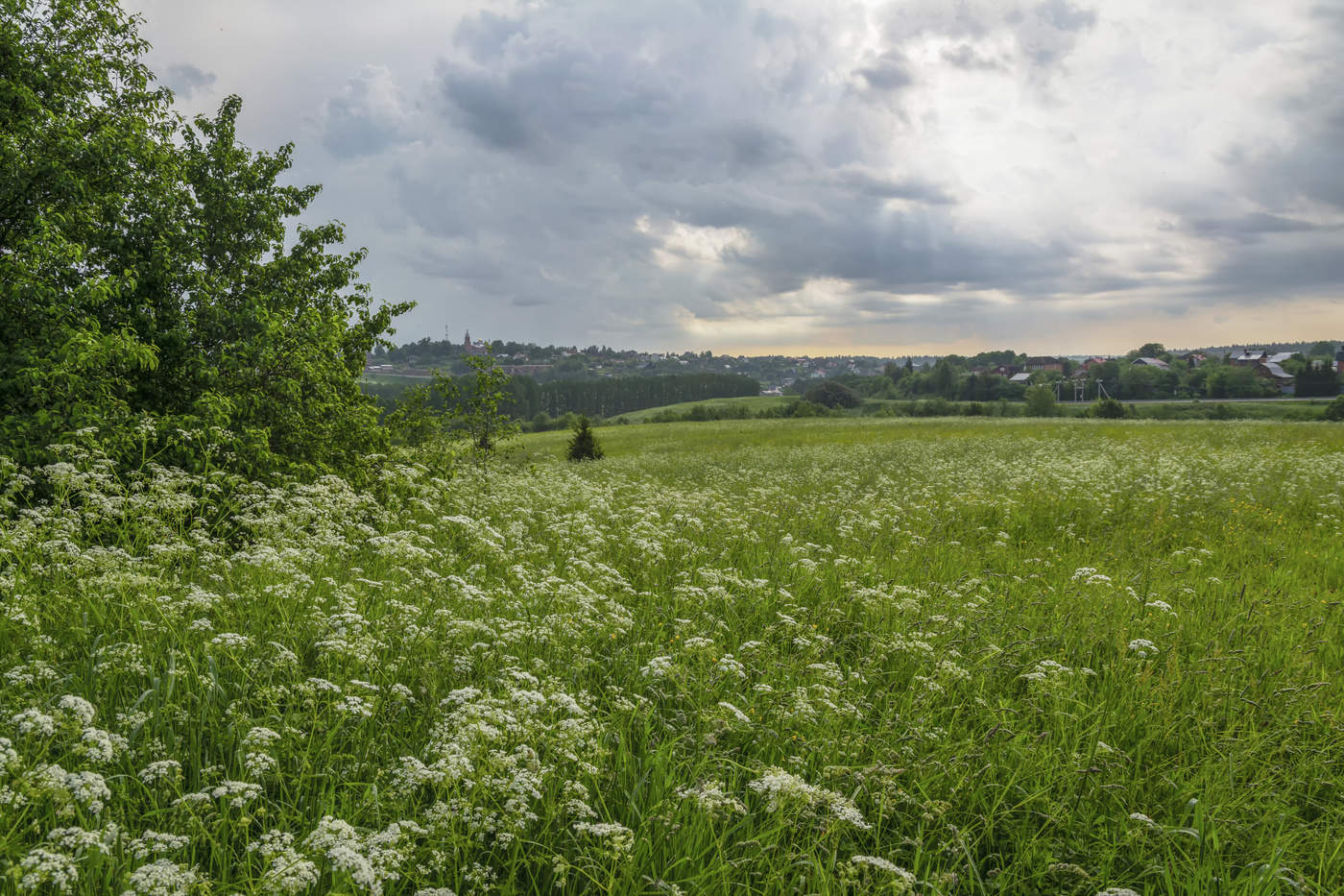 июньские зарисовки