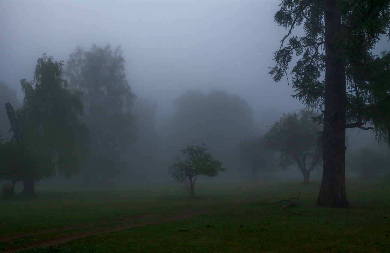 "Ёжики" в тумане