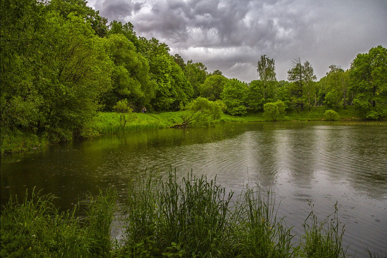 Прогулки под дождём.