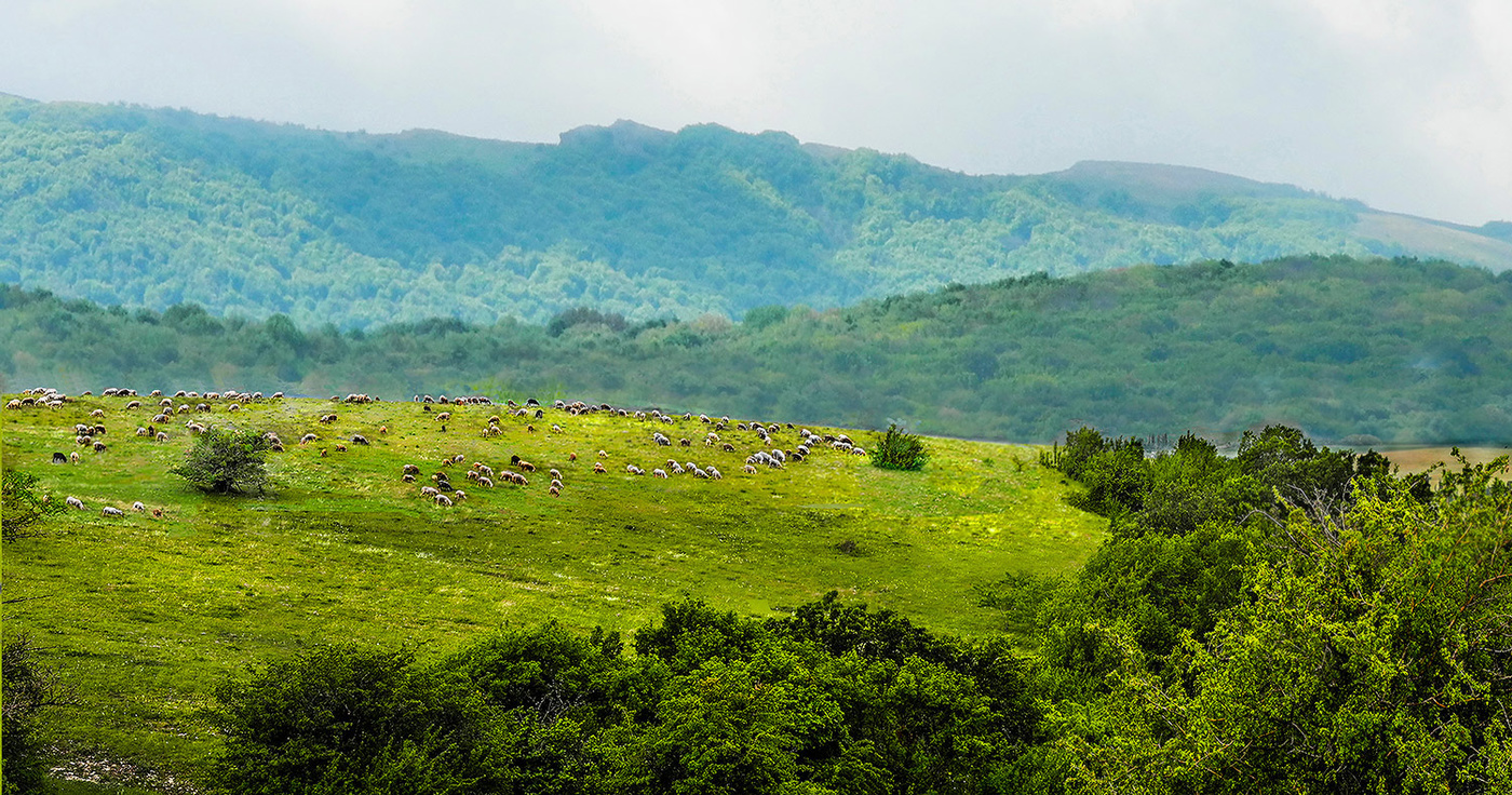 Утро, 9 часов