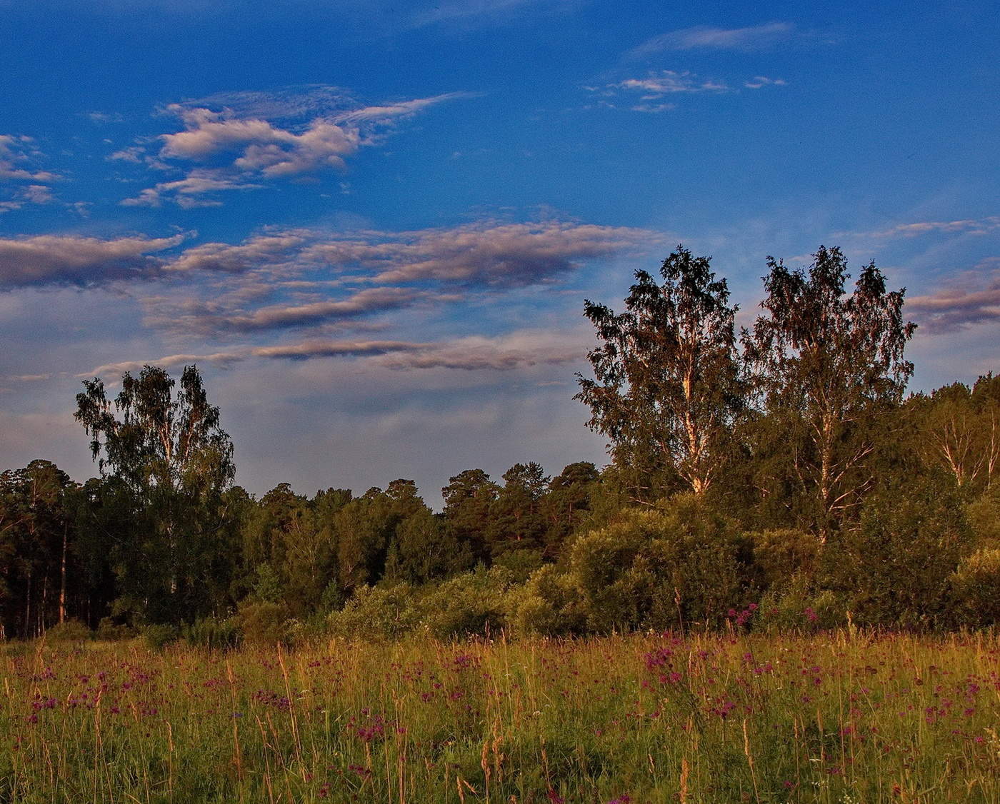 Летний вечер.