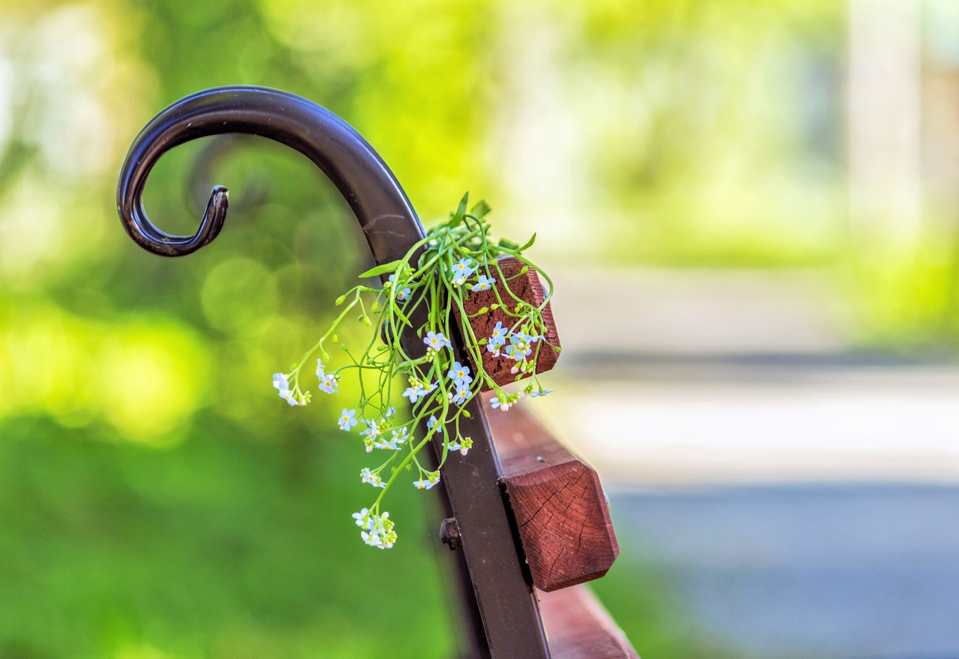 Утро в парке