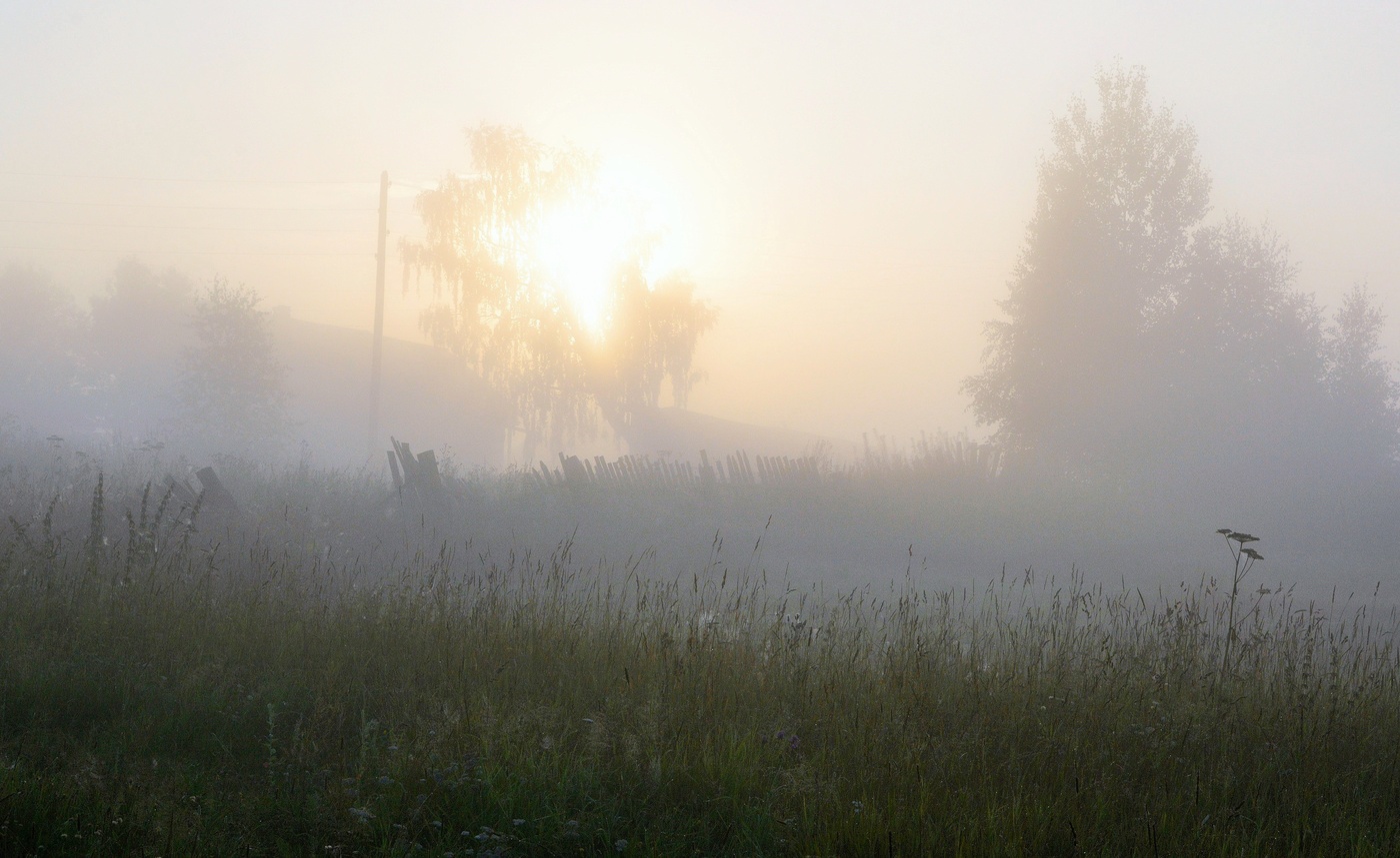 "Не в первый раз кричит петух ..."