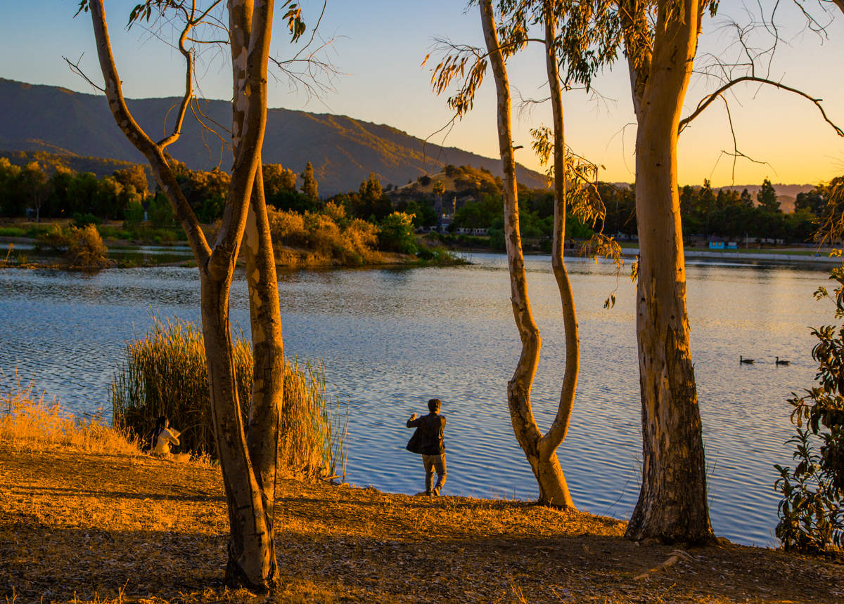 Поэтический вечер