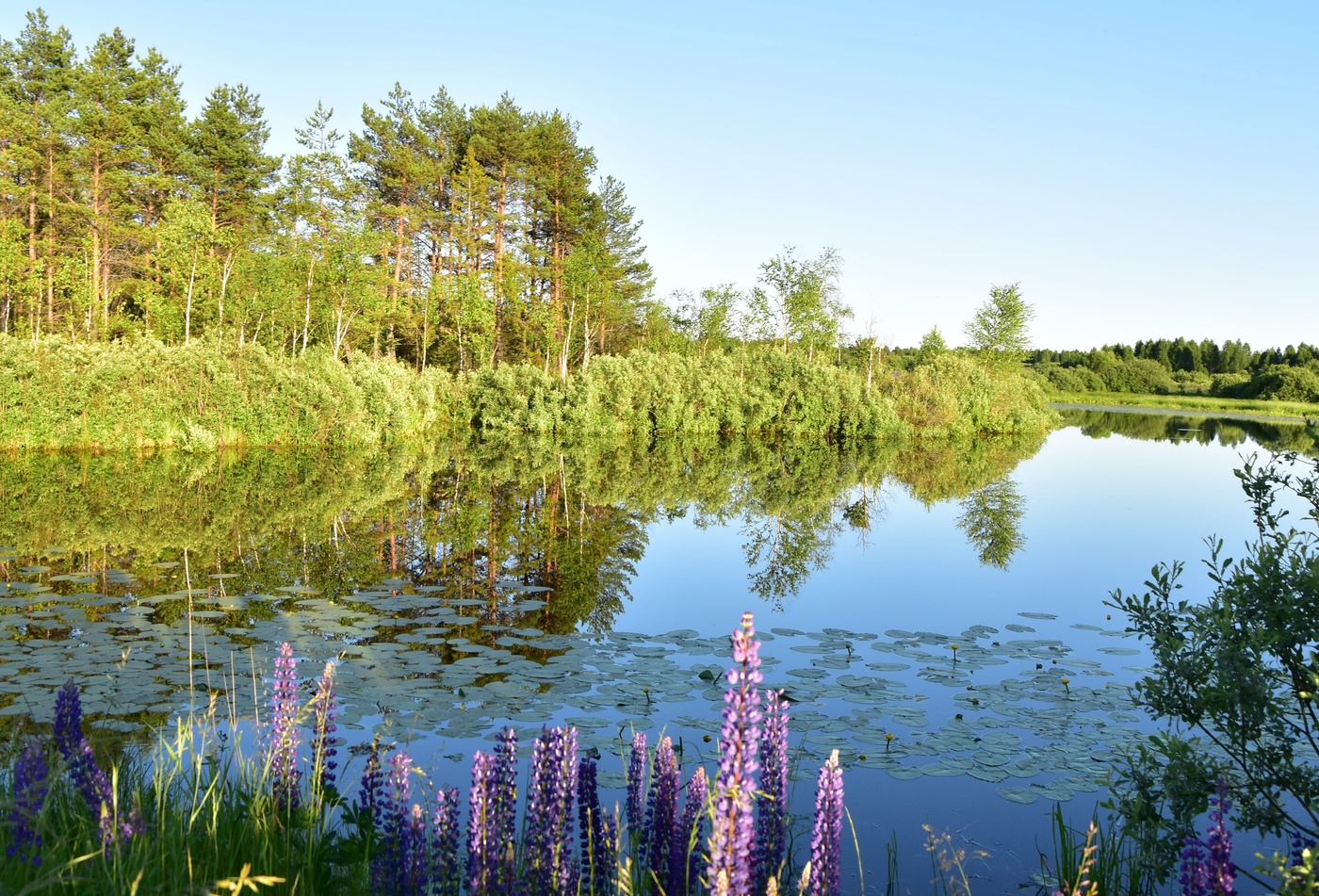 От сует отдыхает душа...