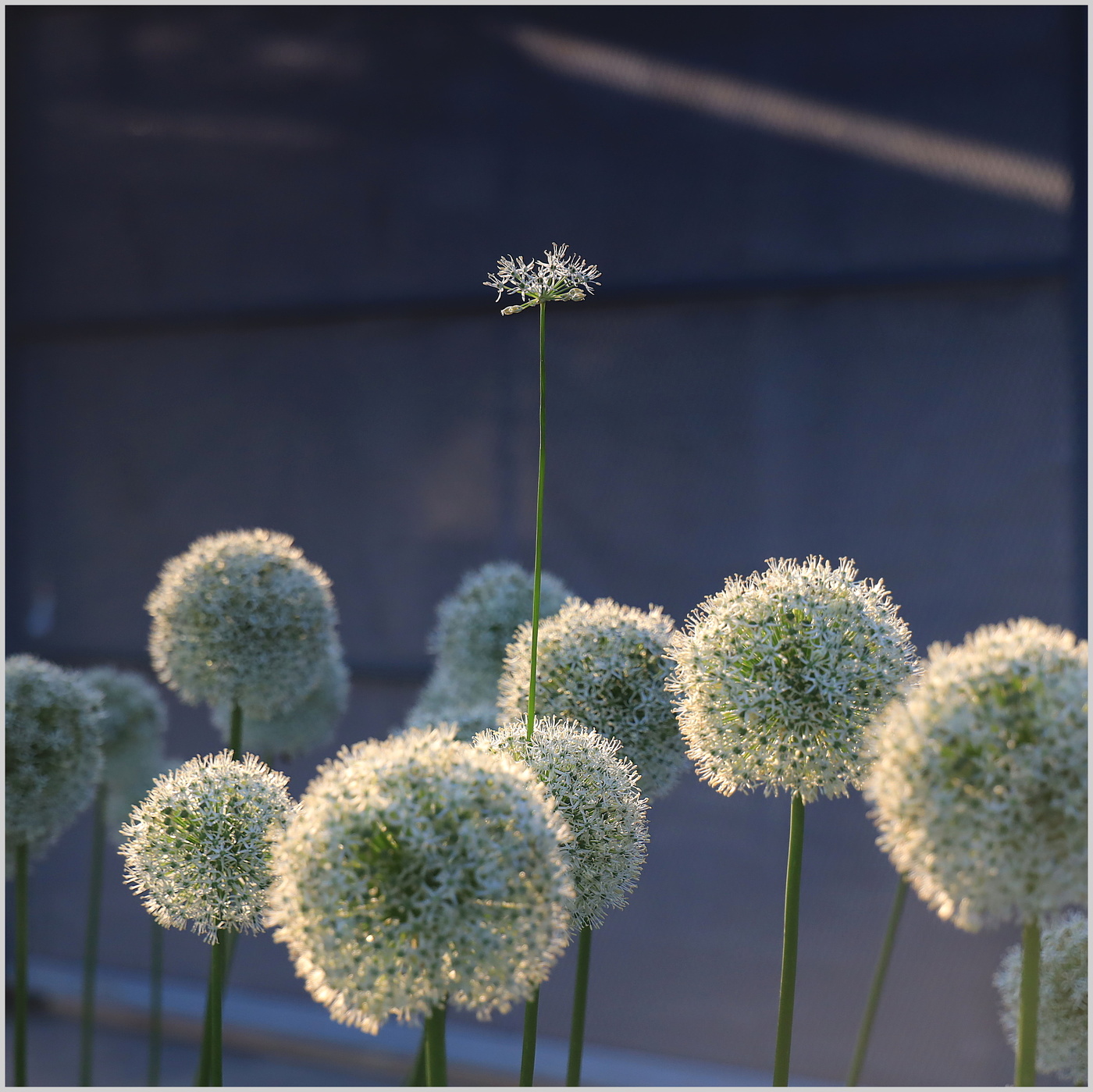 Равнение на ...