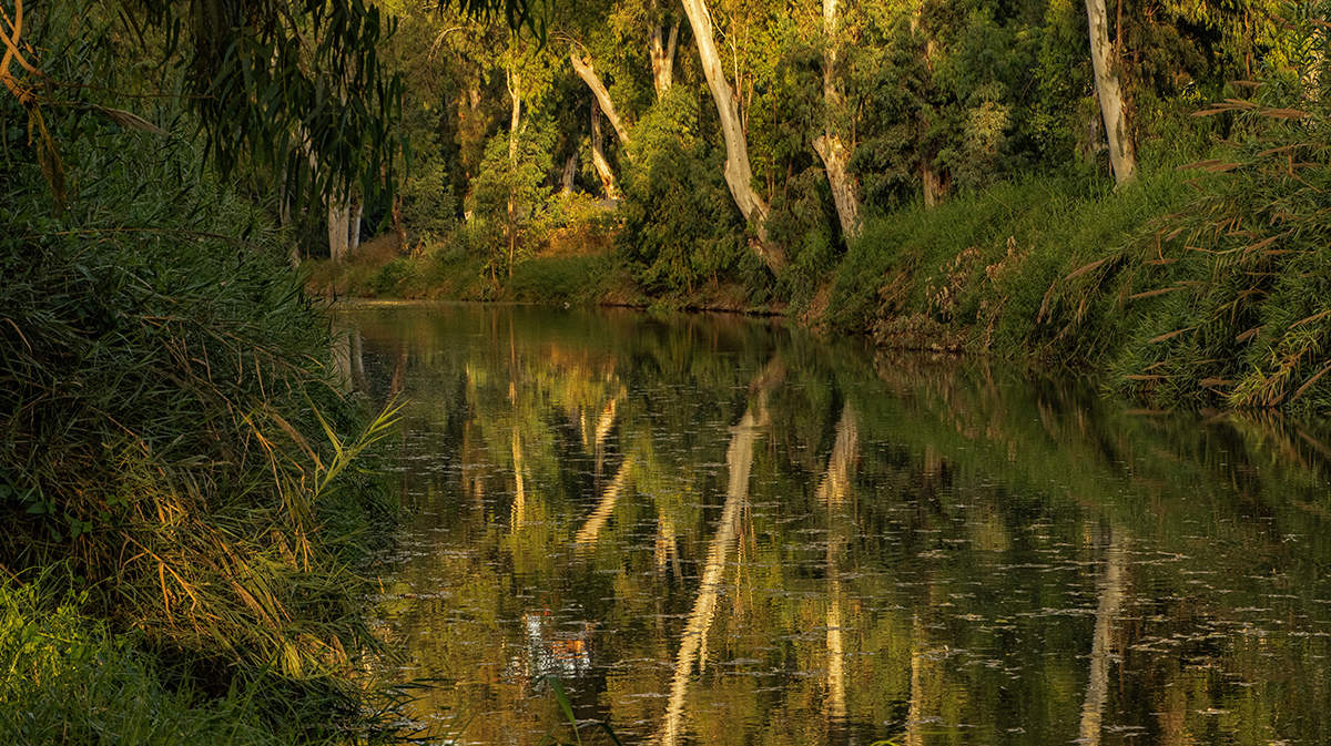 Тихая заводь