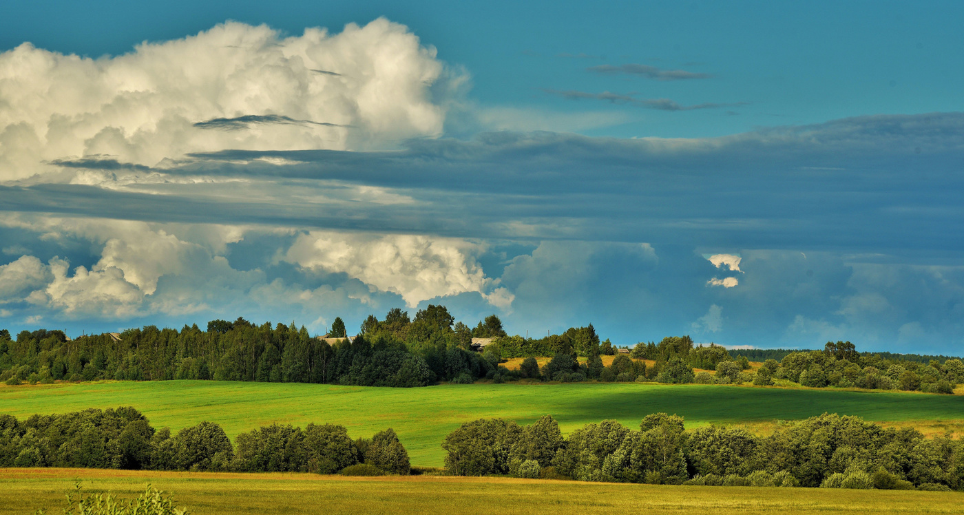 "Ох, лето красное! любил бы я тебя ..."
