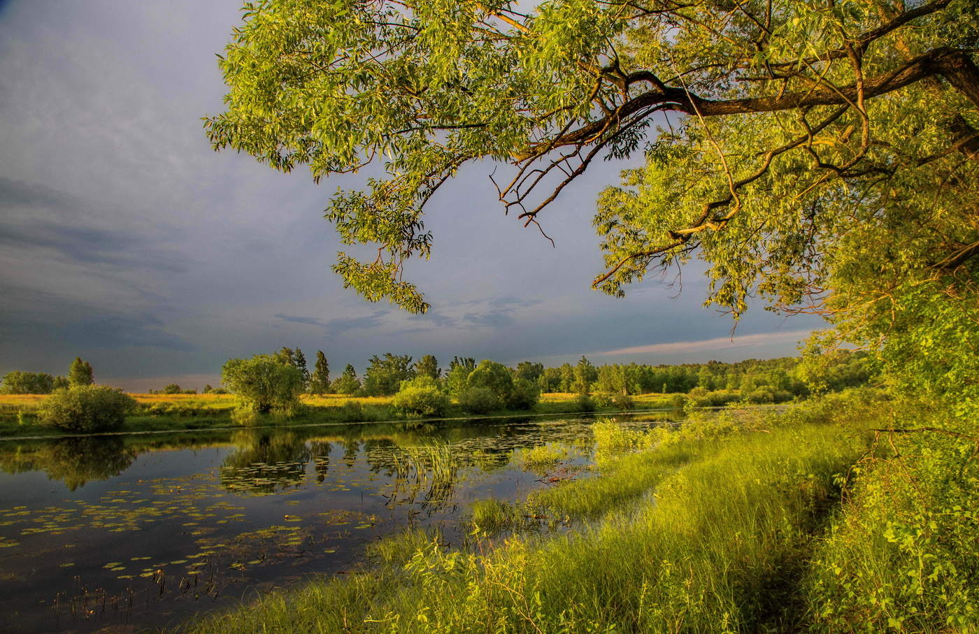 Полной грудью дышу неземной благодатью...