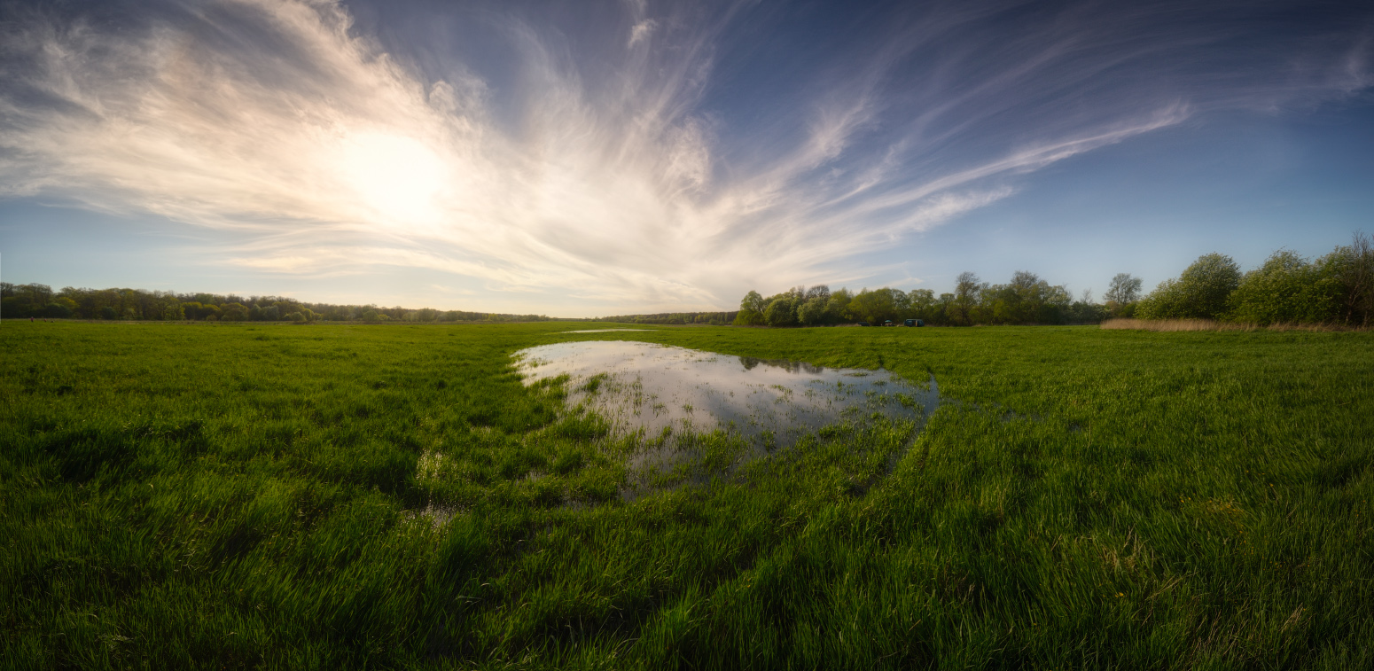 После дождичка...