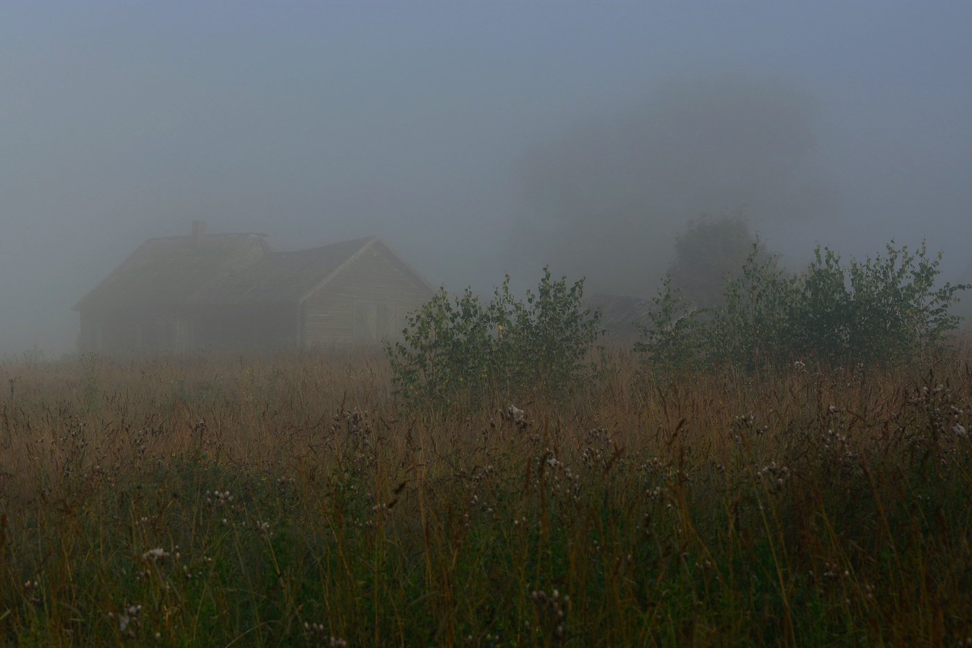 "Восходит новый день над царством тишины... Светает..."