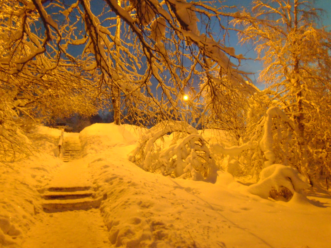 Утро 1 января, - 30 ..