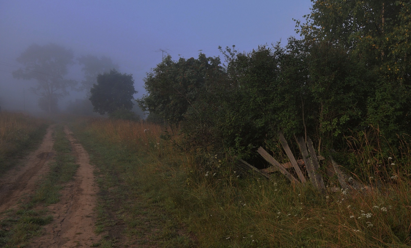 "Когда забрезживший рассвет вернет цветам и листьям цвет..."