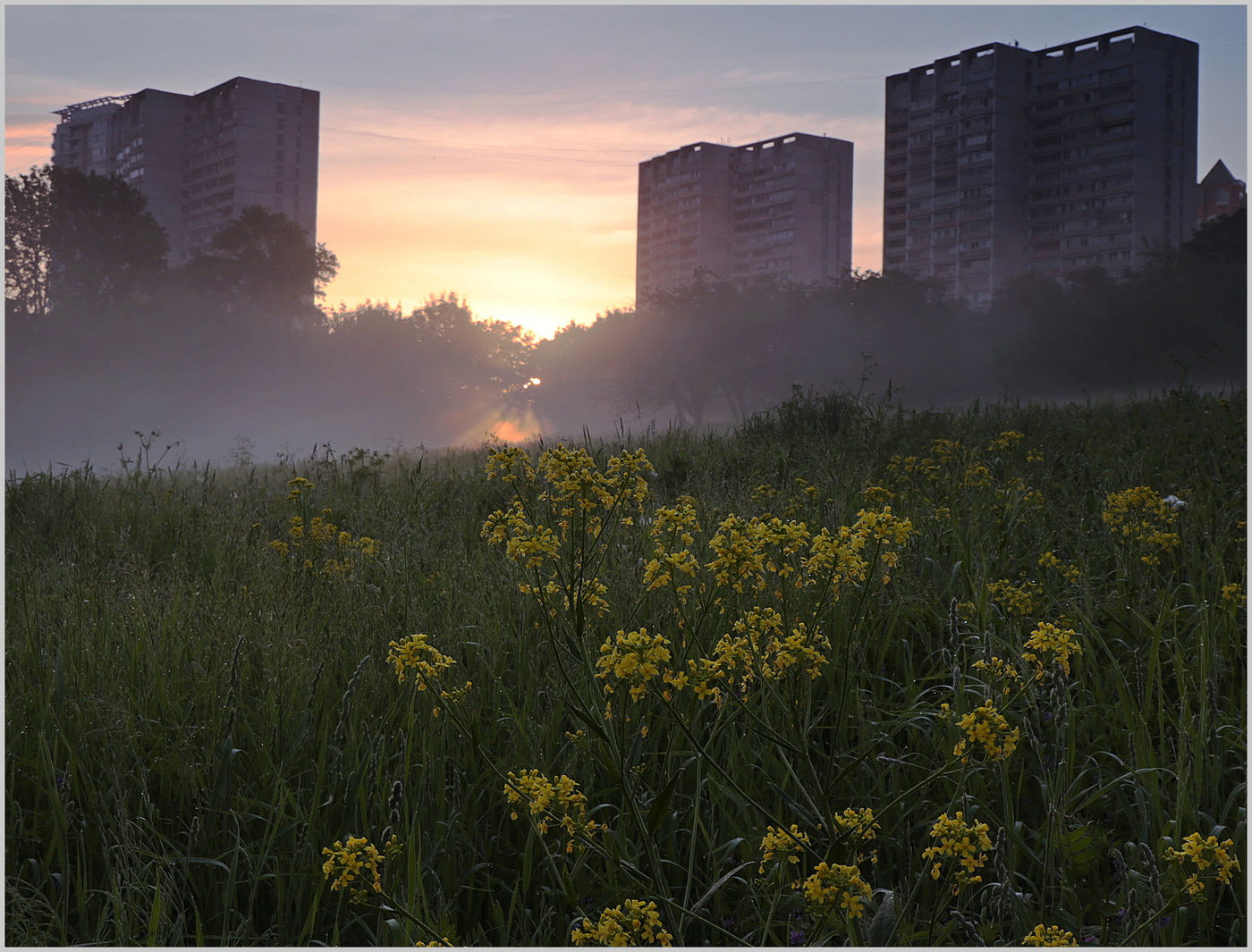 Городские рассветы