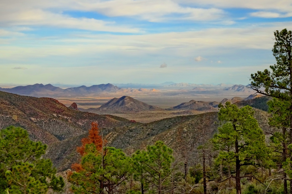 дальние страны